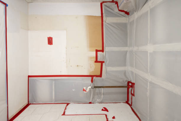 Best Asbestos and Lead Testing During Mold Inspection  in Lindstrom, MN