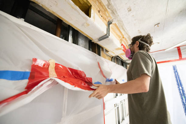 Best Air Quality Testing for Mold Spores  in Lindstrom, MN