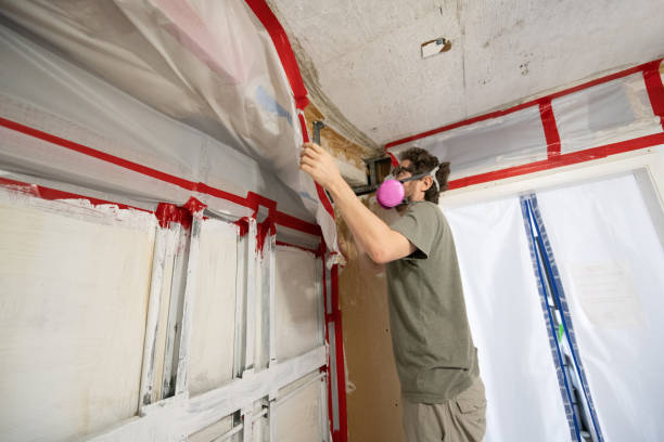 Best Comprehensive Air Testing for Mold Contaminants  in Lindstrom, MN