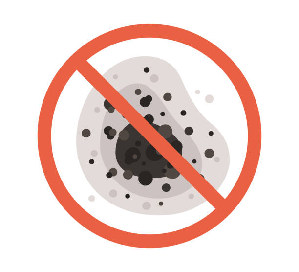 Best Forensic Mold Investigation  in Lindstrom, MN
