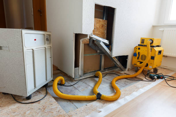 Best Mold Removal for HVAC Installations  in Lindstrom, MN